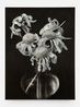 Coneflowers by Don Brown contemporary artwork Painting