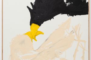 Andi Fischer