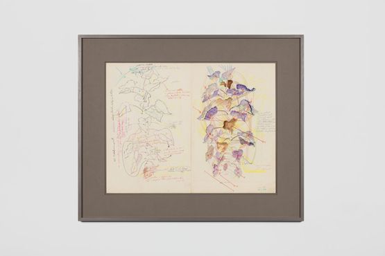 Sunflower by Stefan Bertalan contemporary artwork Works on Paper