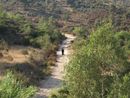 On the road by Neriman Polat contemporary artwork Moving Image