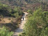 On the road by Neriman Polat contemporary artwork moving image