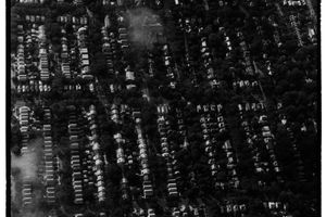 Zoe Leonard