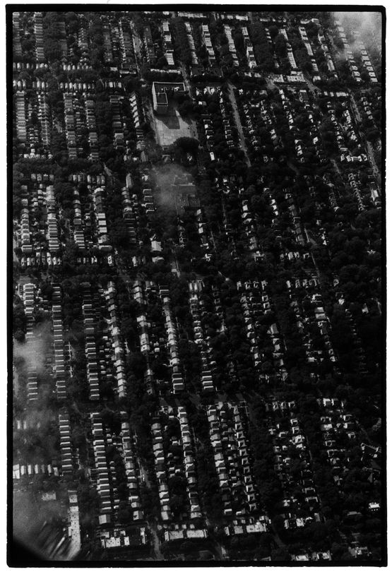 Untitled by Zoe Leonard contemporary artwork Photography