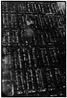 Untitled by Zoe Leonard contemporary artwork Photography