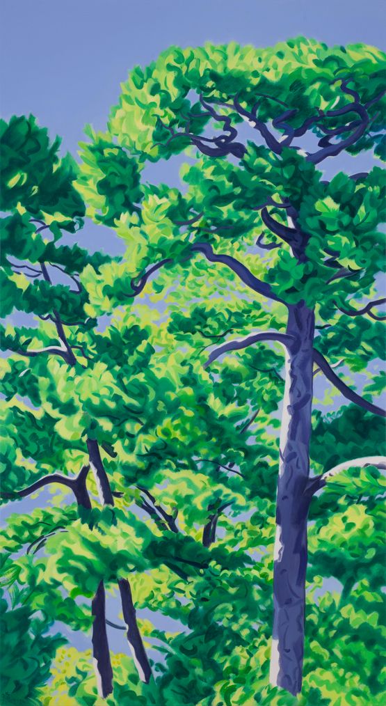Sunlit Pines by Long Quan contemporary artwork Painting
