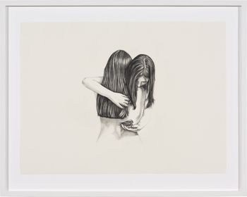 Inseparable Welcome Swallow by Patricia Piccinini contemporary artwork drawing works on paper