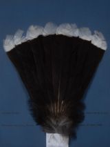Matius Huia Feathers Te Papa by Fiona Pardington contemporary artwork print