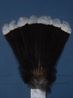 Matius Huia Feathers Te Papa by Fiona Pardington contemporary artwork Print