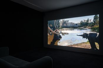 Pyramids and Parabolas II  II by Alice Wang contemporary artwork moving image