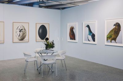 Aotearoa Art Fair 2025 In Photos