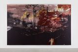 The Burning Amazon by Brian Maguire contemporary artwork painting