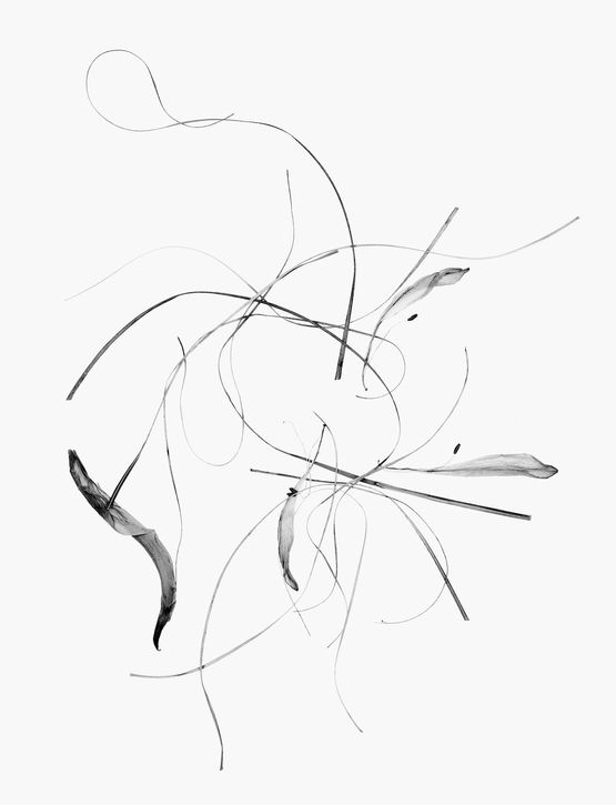 Kado by Walter Schels contemporary artwork Painting