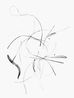 Kado by Walter Schels contemporary artwork Painting