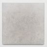 Mirror Painting 12 by Mark Wallinger contemporary artwork Painting