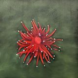 Memoria del agua II by Gabriela Bettini contemporary artwork painting