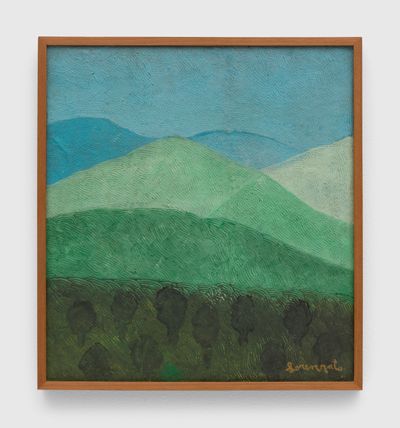 Amadeo Luciano Lorenzato Brings Brazil to Life