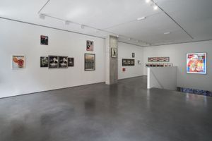 Alfredo Jaar