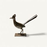 Greater roadrunner says Bip Bip by Daniel Daviau contemporary artwork sculpture