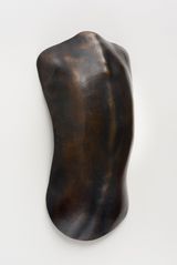 Carapace 2 by Julie Rrap contemporary artwork sculpture