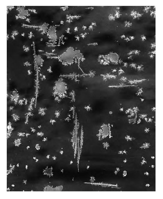 Crystals VII by Tomoko Yoneda contemporary artwork Photography