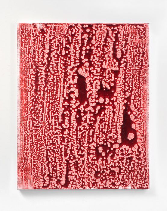 Forbidden Colours by Adel Abdessemed contemporary artwork Painting