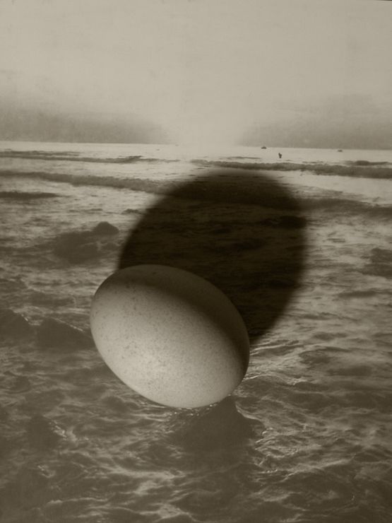 Egg by Johno Mellish contemporary artwork Photography