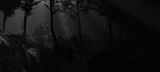 Neti by Pranay Dutta contemporary artwork moving image