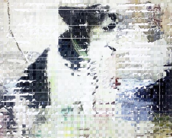 dog by Shiori Tono contemporary artwork Painting