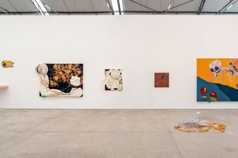 Contemporary art exhibition Yuli Yamagata Insonia at Fortes DAloia  Gabriel Sao Paulo Brazil