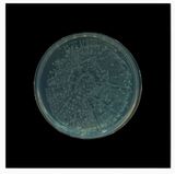 Archive of Dust British Museum Room 18 no.11 by Dane Mitchell contemporary artwork print