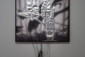 Caroline Rothwell