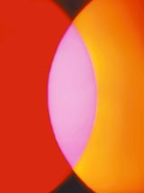 Coloured Seed 6 by Garry Fabian Miller contemporary artwork photography