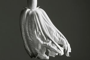 Jean-Baptiste Huynh