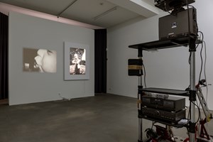 Reinhard Mucha