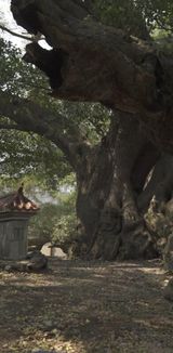 Treant by Liang Yue contemporary artwork moving image