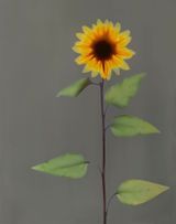 Untitled by Adam Fuss contemporary artwork print