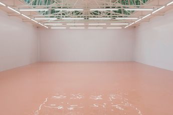 Contemporary art exhibition Pamela Rosenkranz Liquid Body at Stedelijk Museum Amsterdam Netherlands