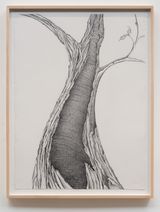 Living Fossil 3 by Faith Wilding contemporary artwork drawing works on paper