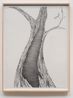 Living Fossil 3 by Faith Wilding contemporary artwork Works on Paper