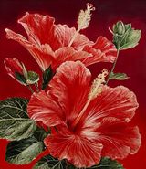 Untitled Hibiscus 3 by Christopher Bassi contemporary artwork painting