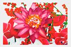 Marc Quinn contemporary artist