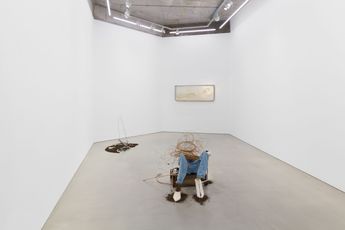 Contemporary art exhibition Anne Hardy Survival Spell at Maureen Paley London United Kingdom