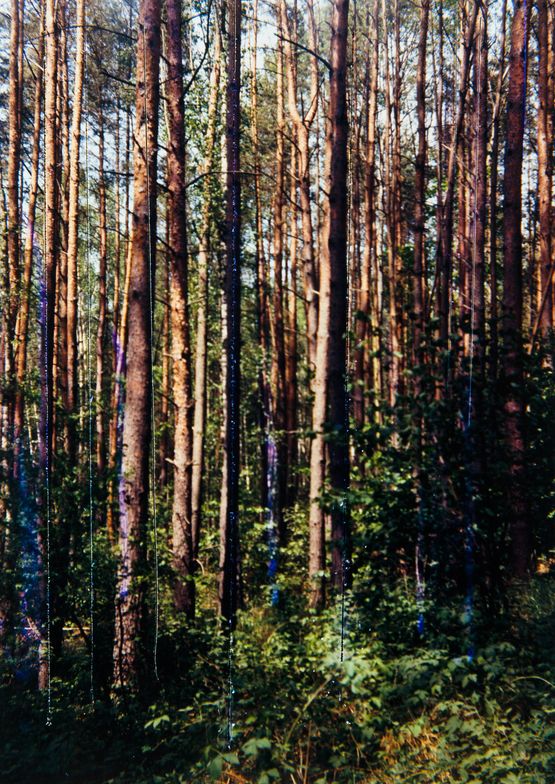 Verdeutlichung by Frank Madler contemporary artwork Photography