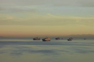 Richard Misrach