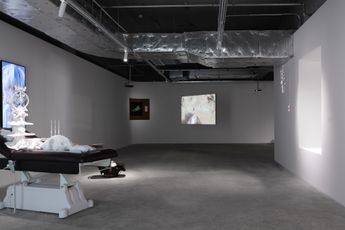 Contemporary art exhibition Group Exhibition Plasmodesmata at ShanghART WB Central Shanghai West Bund China