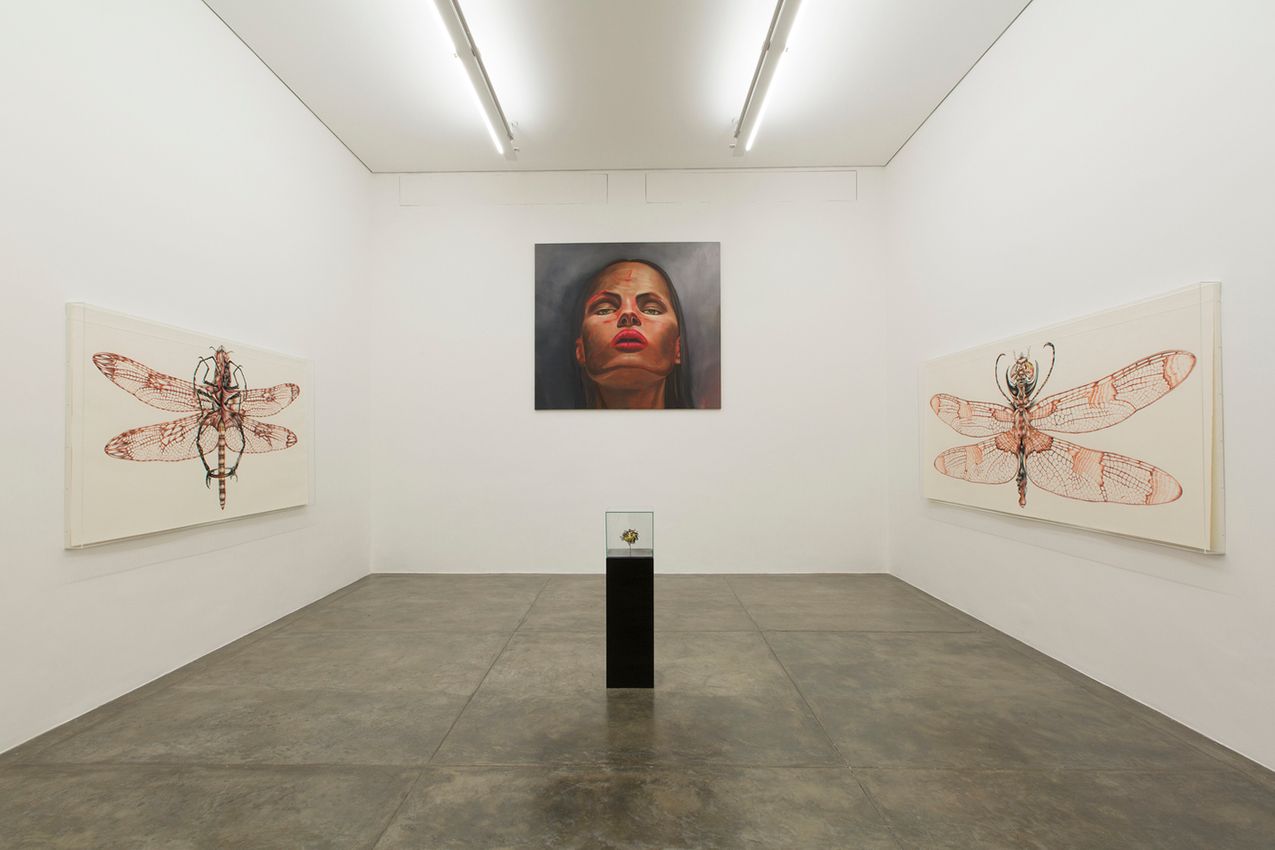 Rodolpho Parigi curated by Bernardo Souza