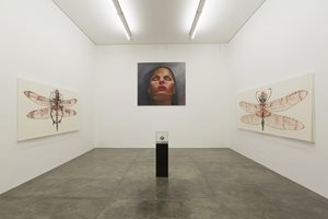 Rodolpho Parigi curated by Bernardo Souza
