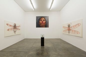 Contemporary art exhibition Rodolpho Parigi curated by Bernardo Souza Levitacao at Galeria Nara Roesler Sao Paulo Brazil