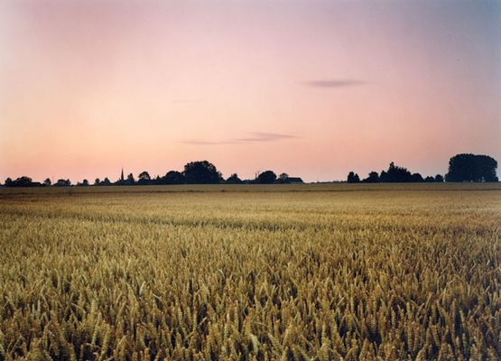 Field - Location of the front line in the Battle of Somme France by Tomoko Yoneda contemporary artwork Photography