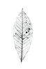 Buffy IV Leaf by Robert Zhao Renhui contemporary artwork Painting